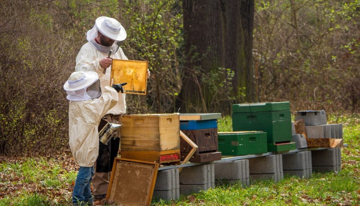 beekeeper-4426003_1280