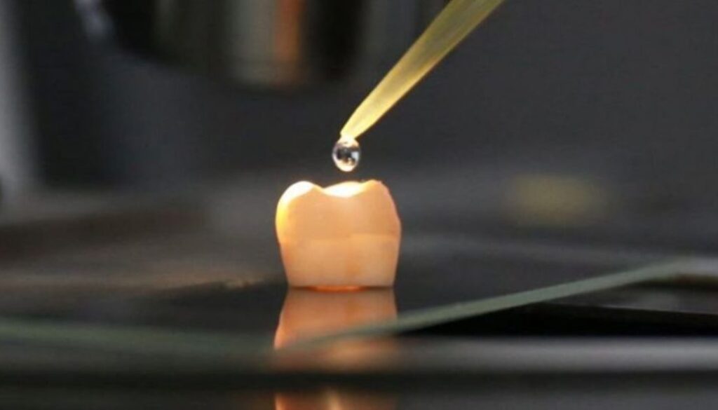 dental TMU