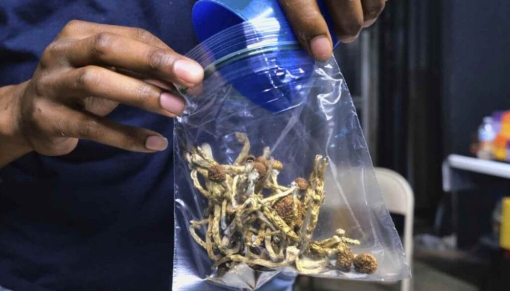 magic-mushrooms-1050x525
