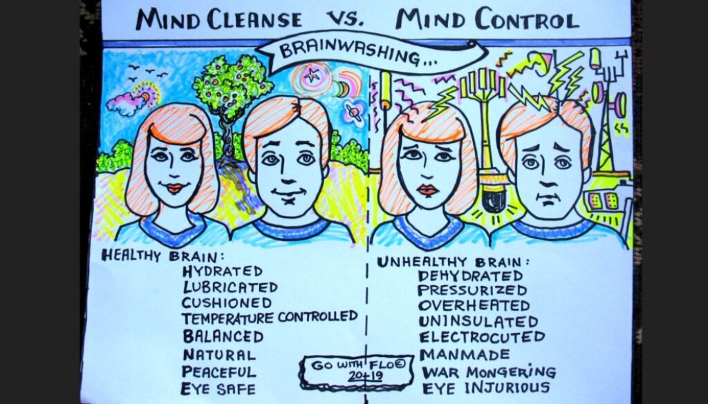 mind-cleanse-mind-control-1024x568