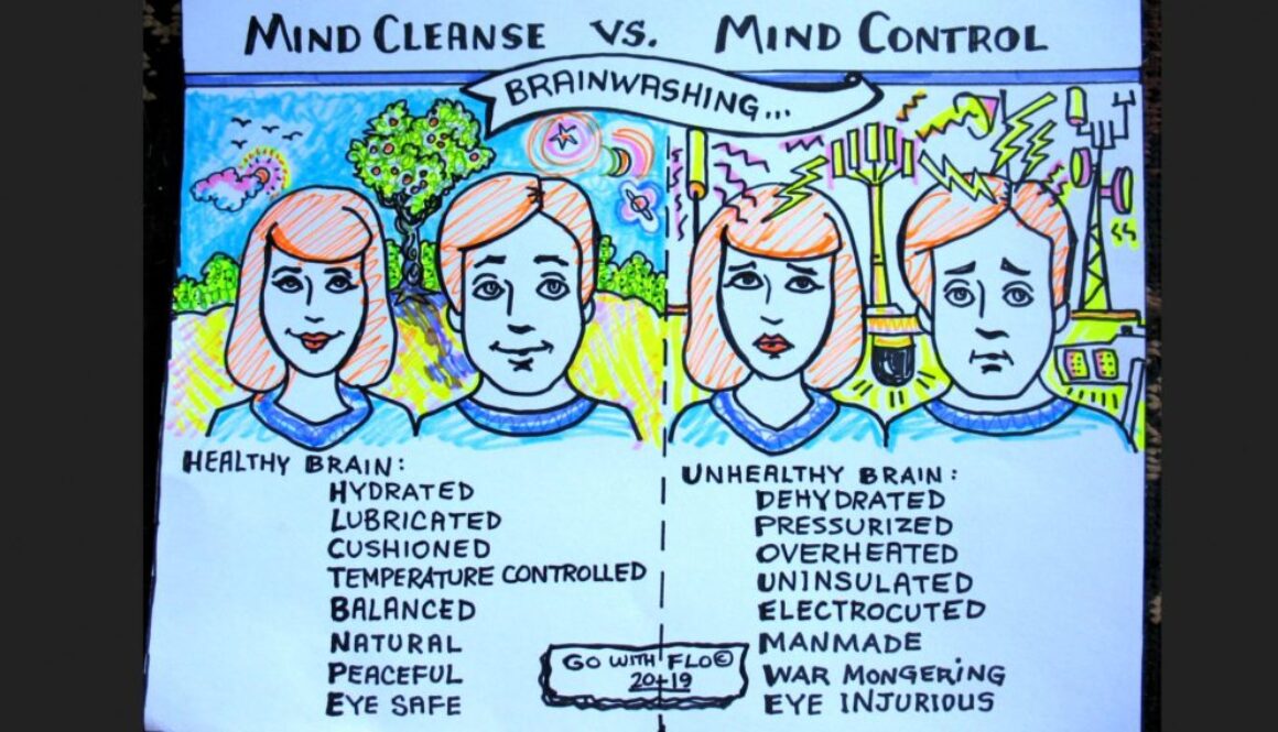 mind-cleanse-mind-control-1024x568