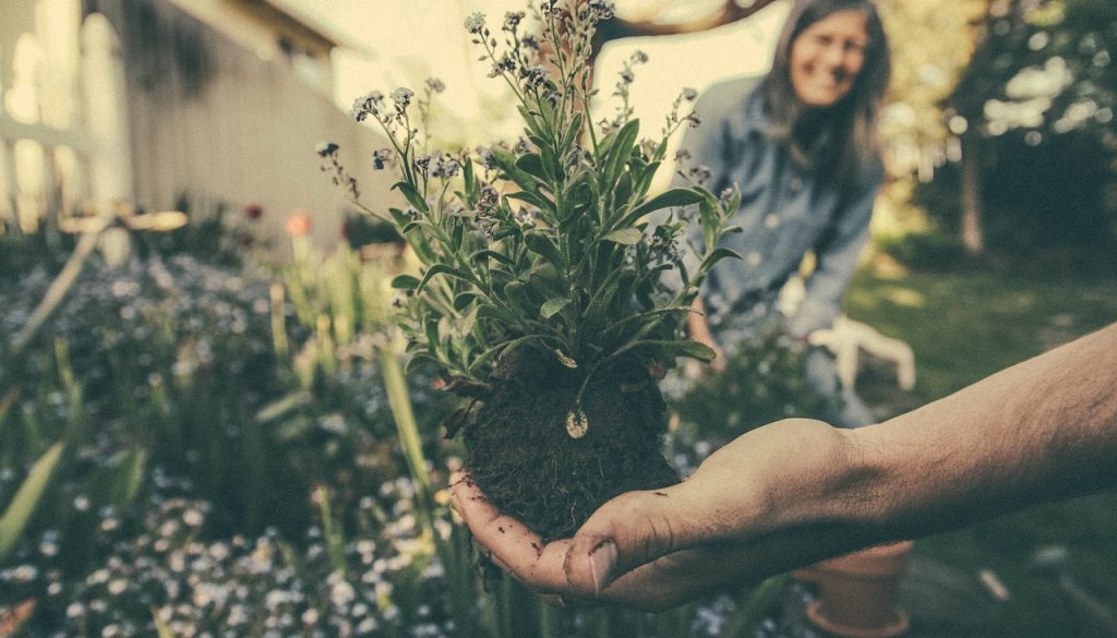 planting-865294_1280