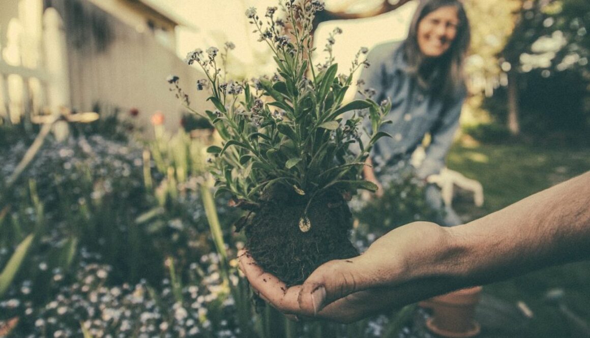 planting-865294_1280