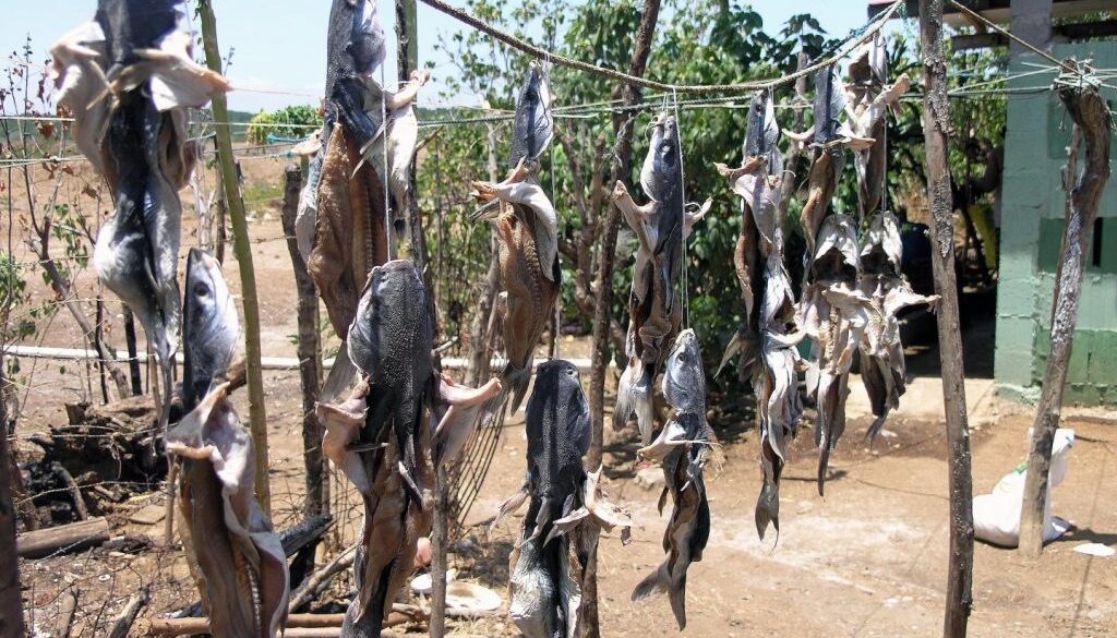 simple fish preservation method