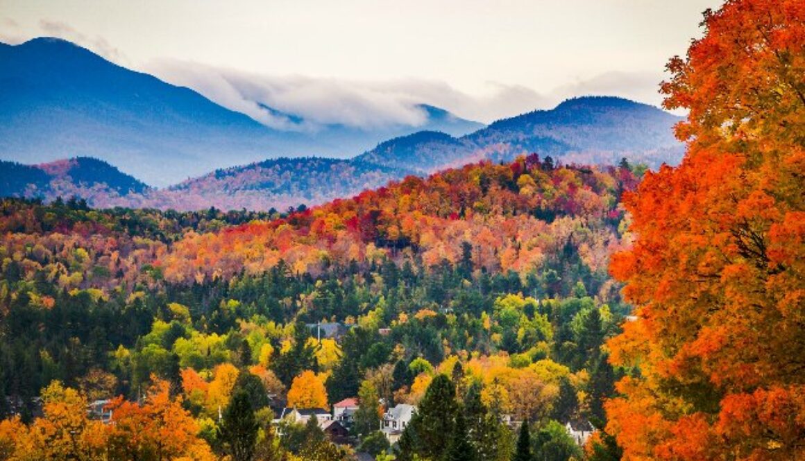 Autumn