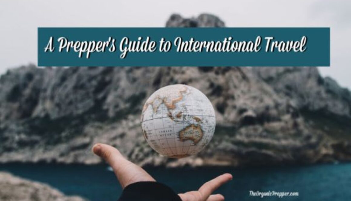 Preppers-Guide-to-International-Travel