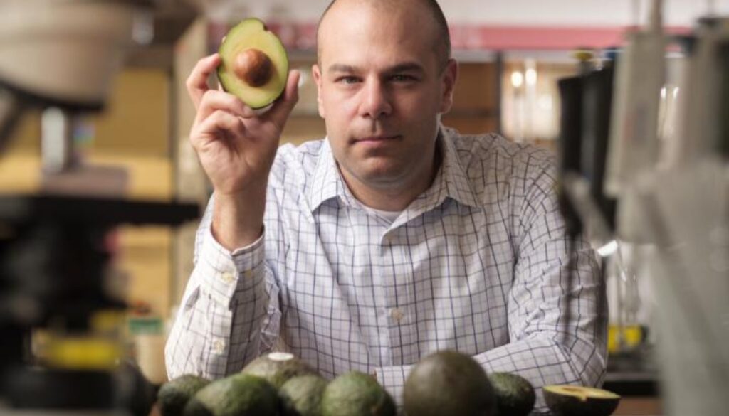 avocado study diabetes obesity