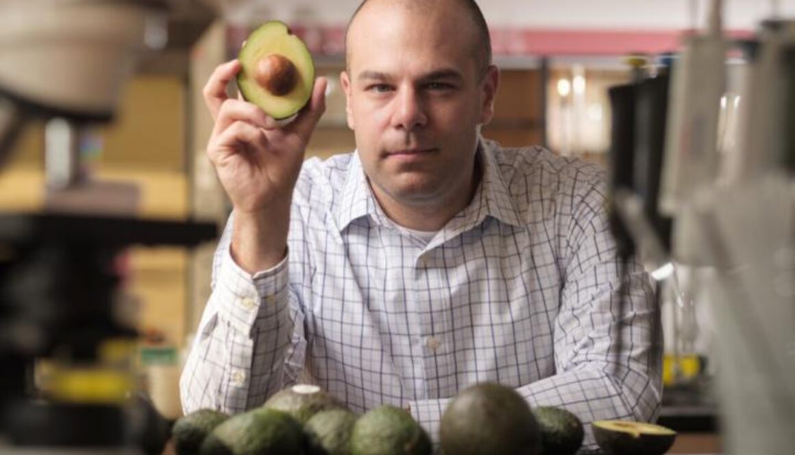 avocado study diabetes obesity