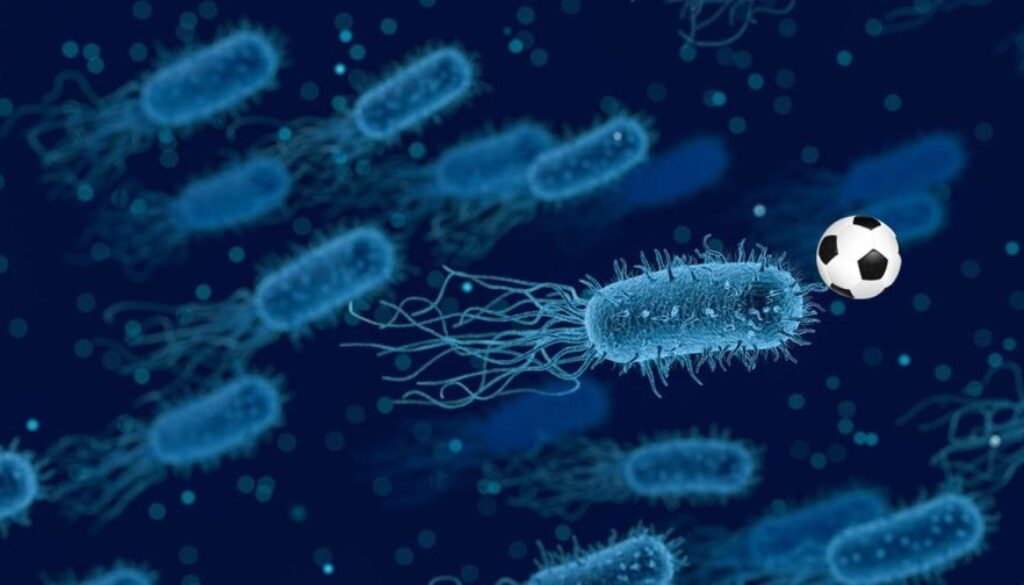 gut health pixabay