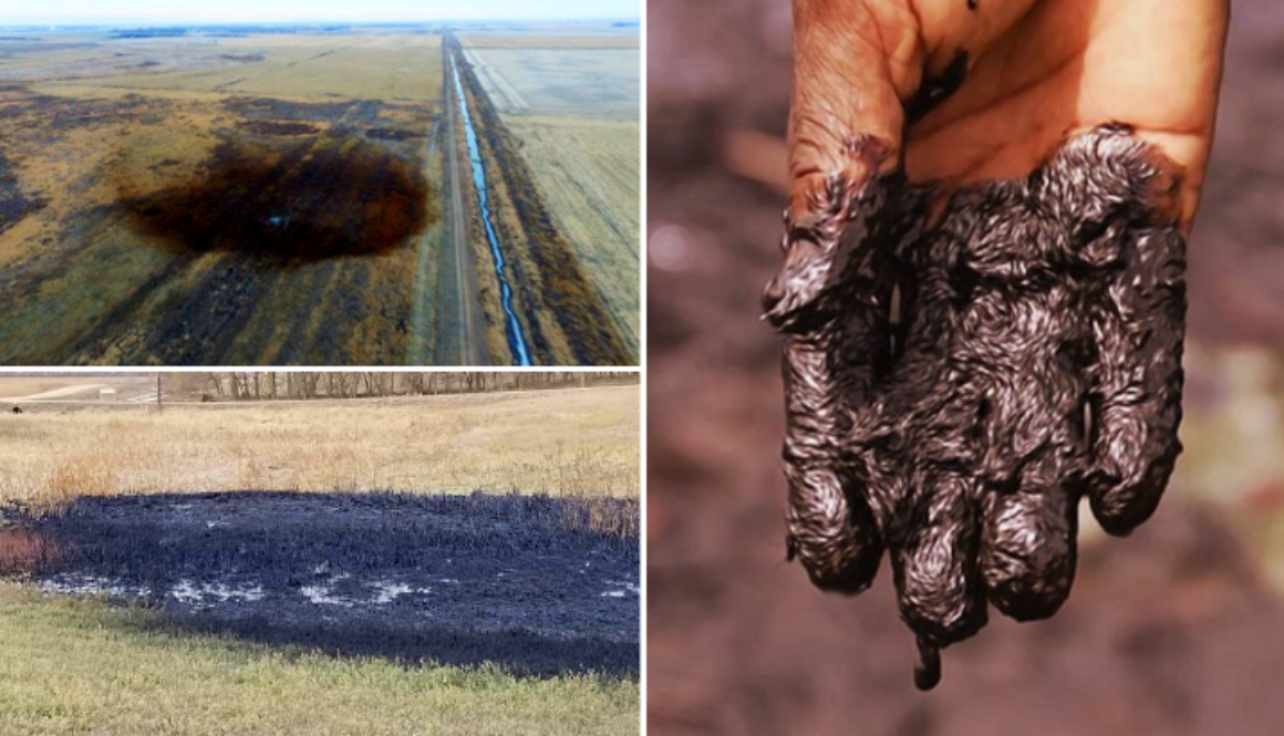 keystone-pipeline-shutdown