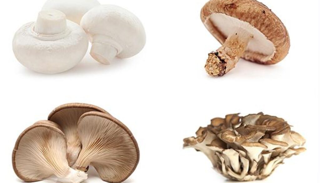 mushrooms