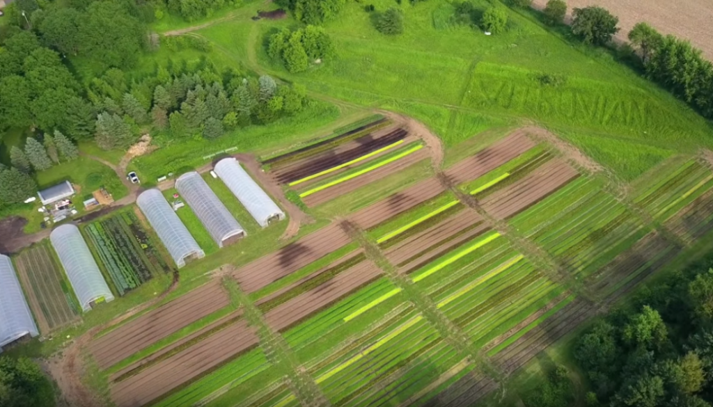 small_farmers