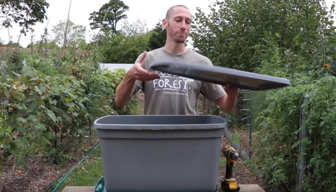 worm_bin_gardening