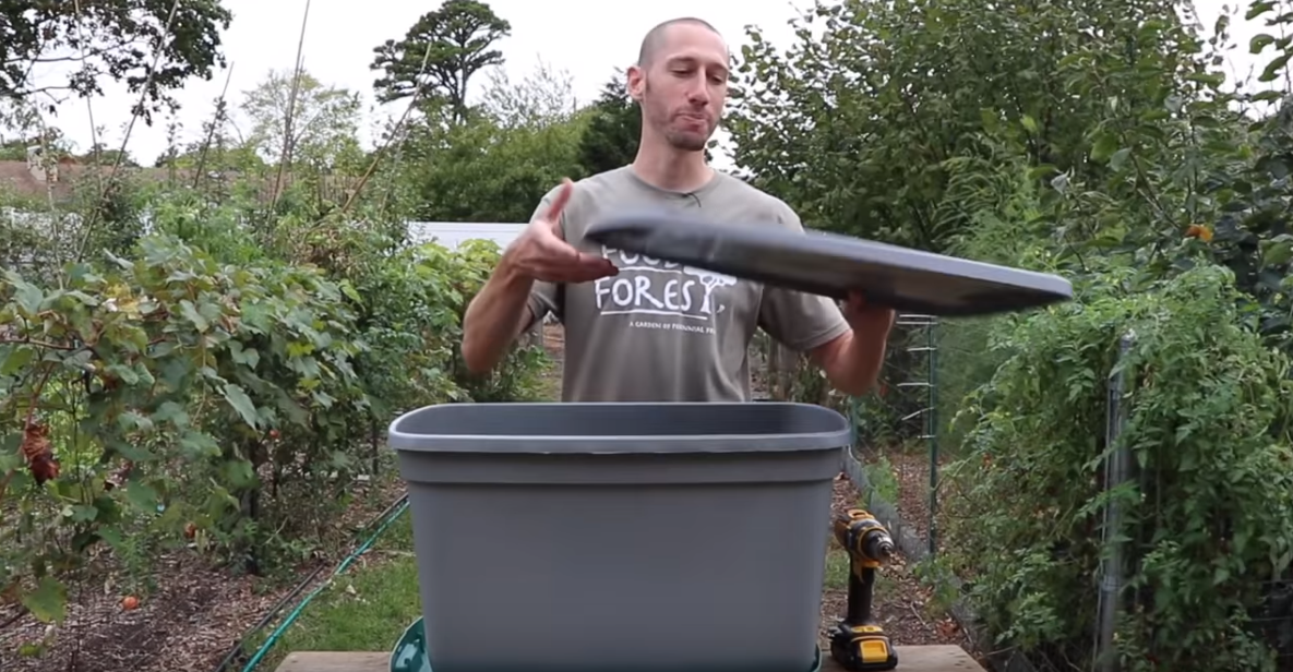 worm_bin_gardening