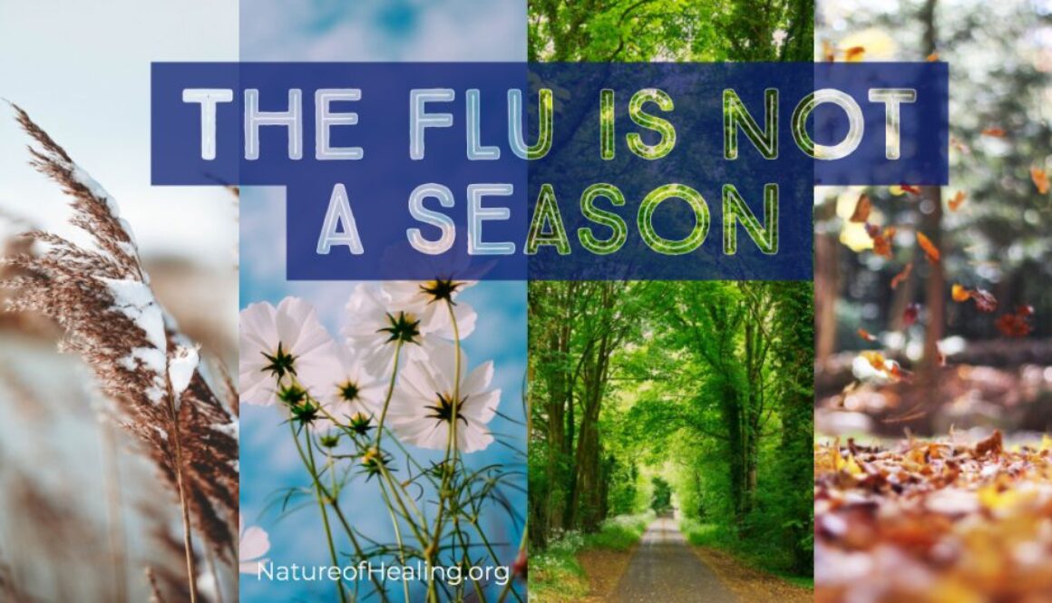 Flu is not a season-2
