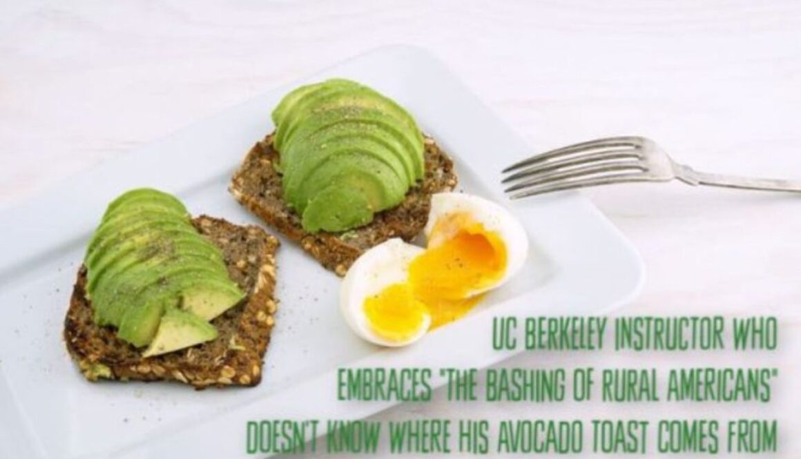 avocado toast op