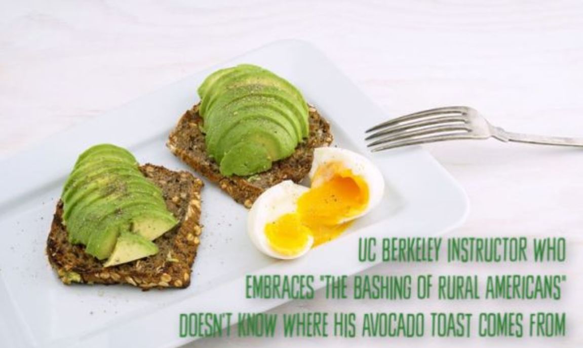 avocado toast op avocado toast op