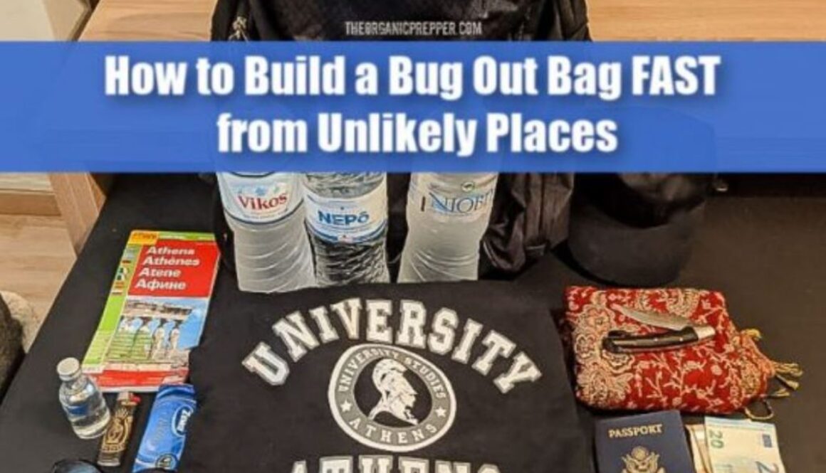 bug out op