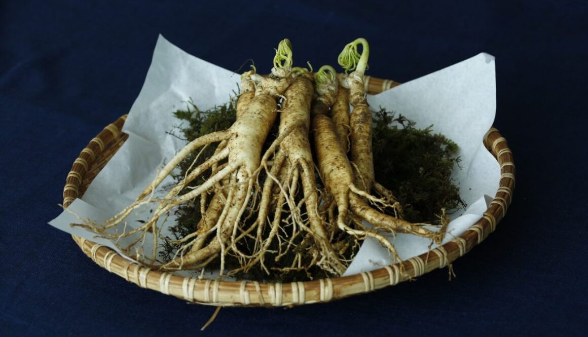 ginseng-chinese-medicinal