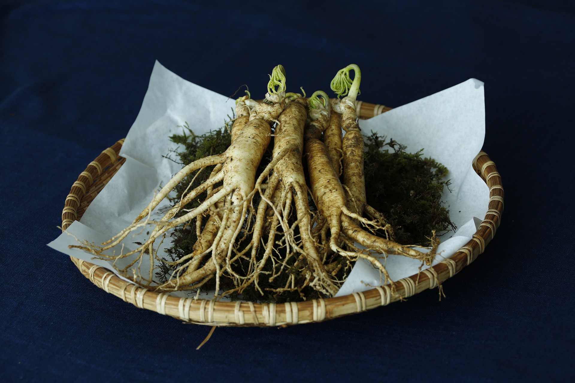 ginseng-chinese-medicinal ginseng-chinese-medicinal