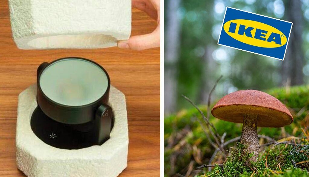ikea-mushroom