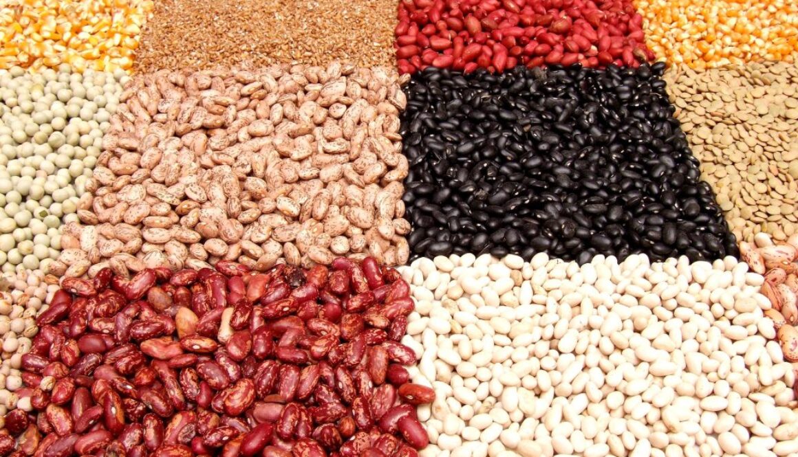 legumes beans