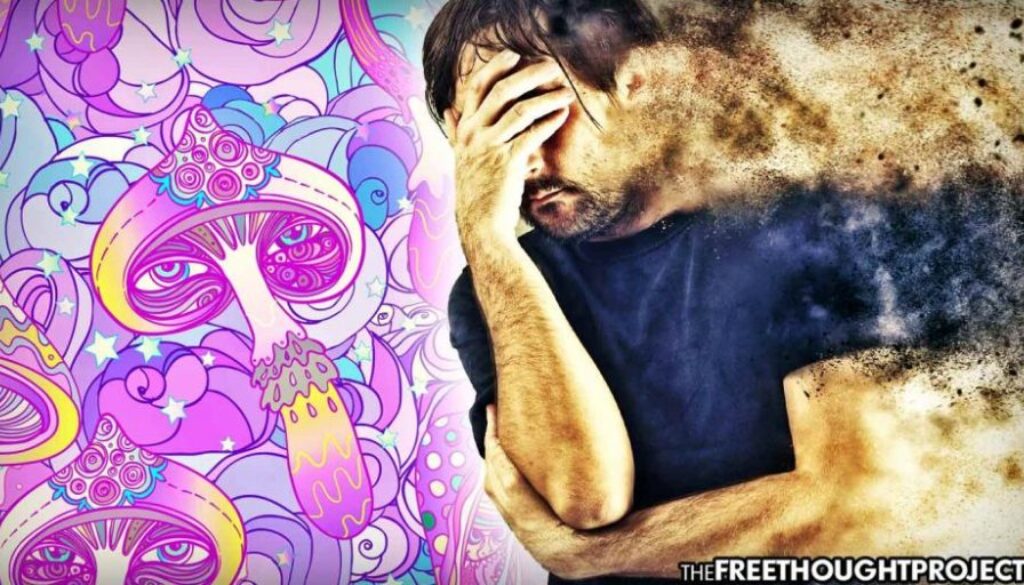 mushrooms-depression-1050x525