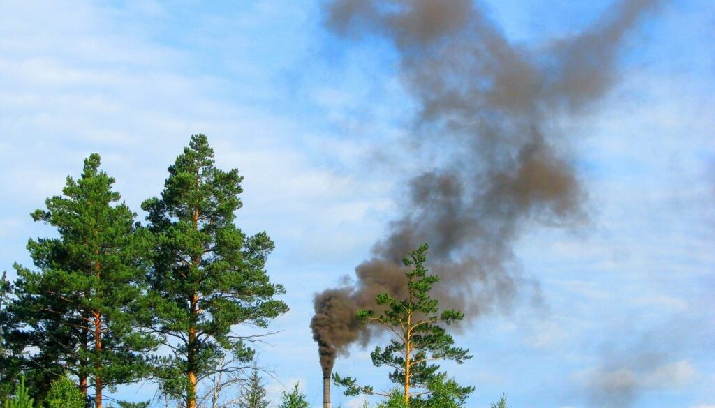 plants air pollution Ohio State university