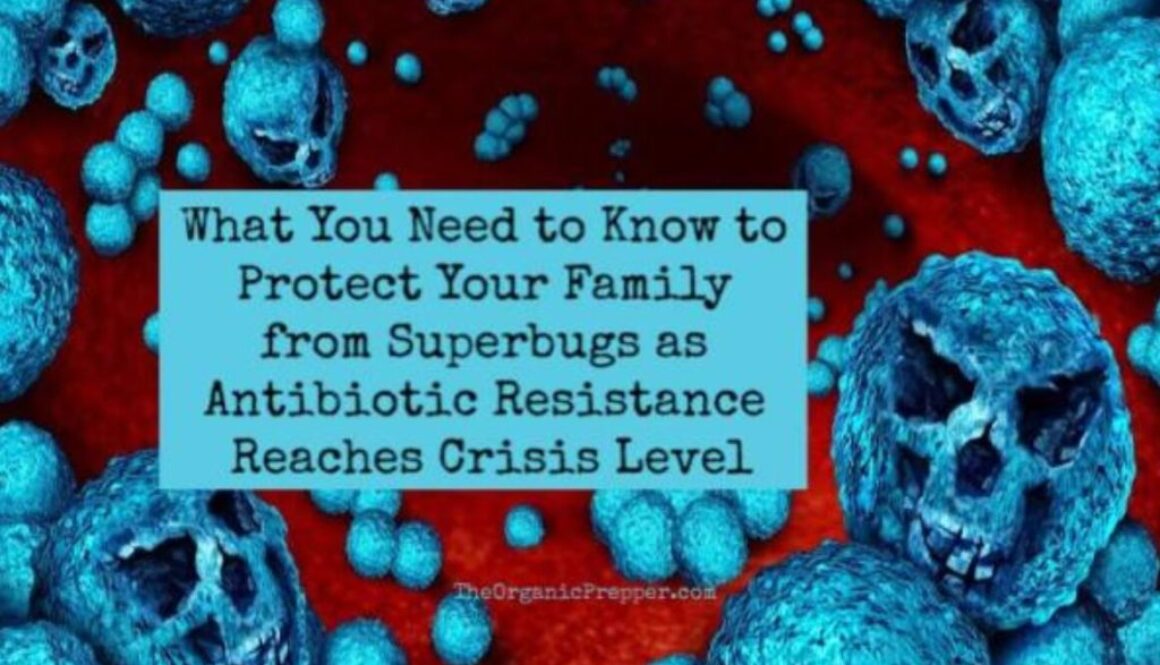 superbugs op