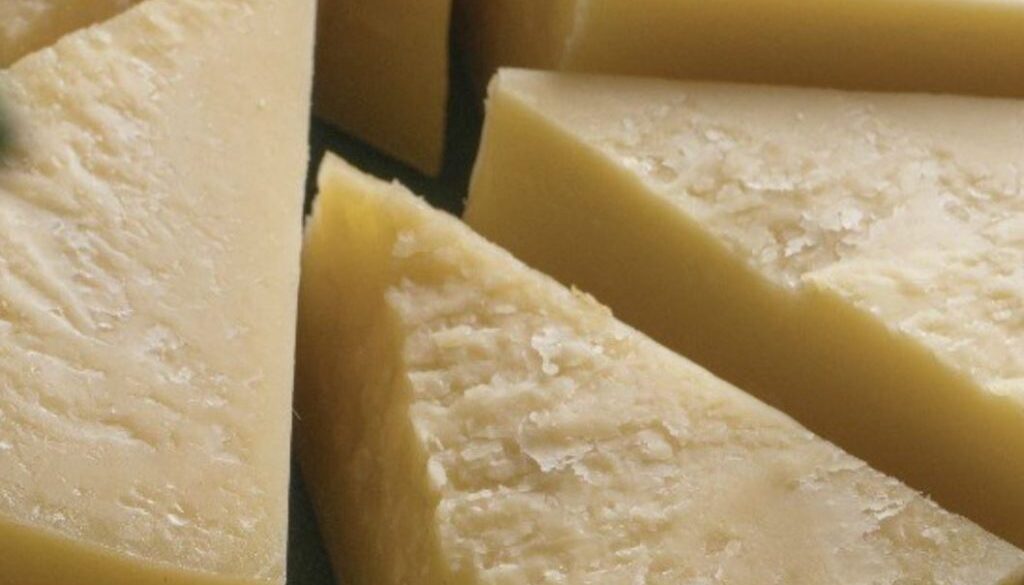 dairy free cheese