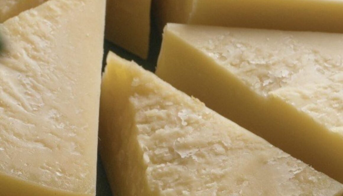 dairy free cheese