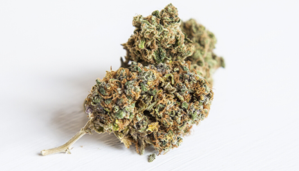 italy-cannabis