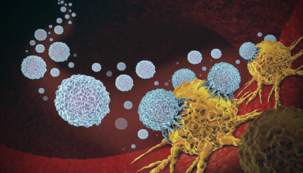 molecule-triggers-self-destruction-pancreatic-cancer-cells