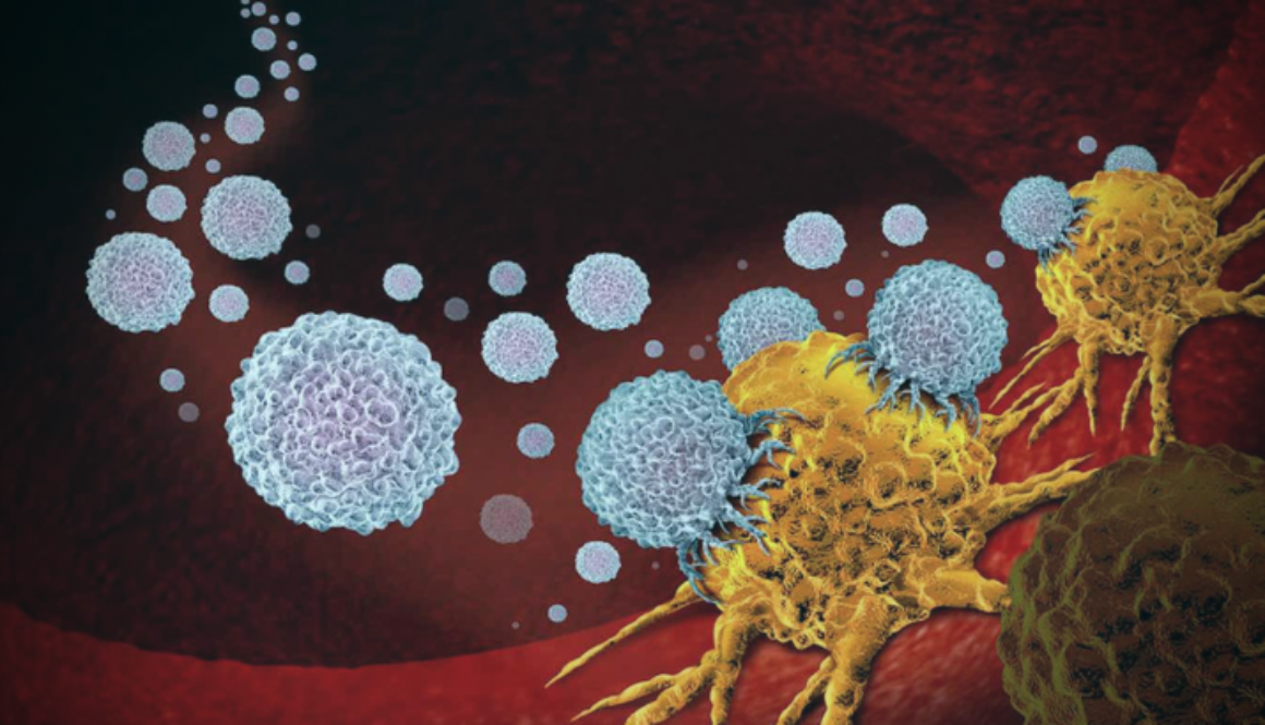 molecule-triggers-self-destruction-pancreatic-cancer-cells