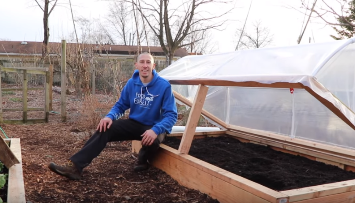 raised_bed_hoop_house