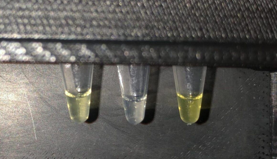 test fluoride drinking water