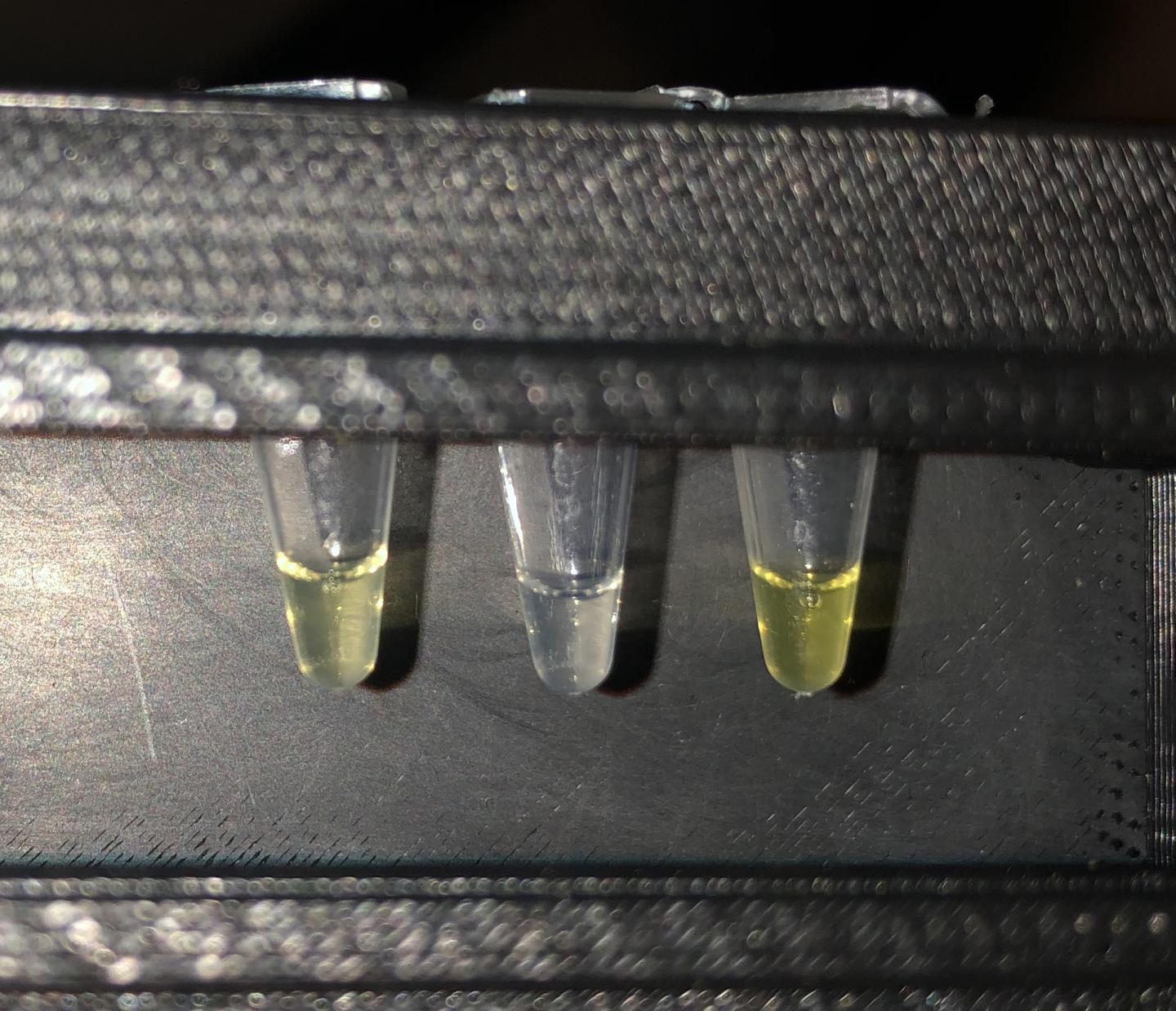 test fluoride drinking water test fluoride drinking water