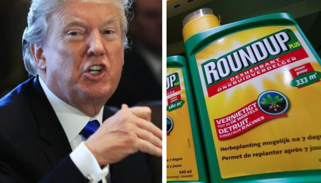 Donald-Trump-Round-Up