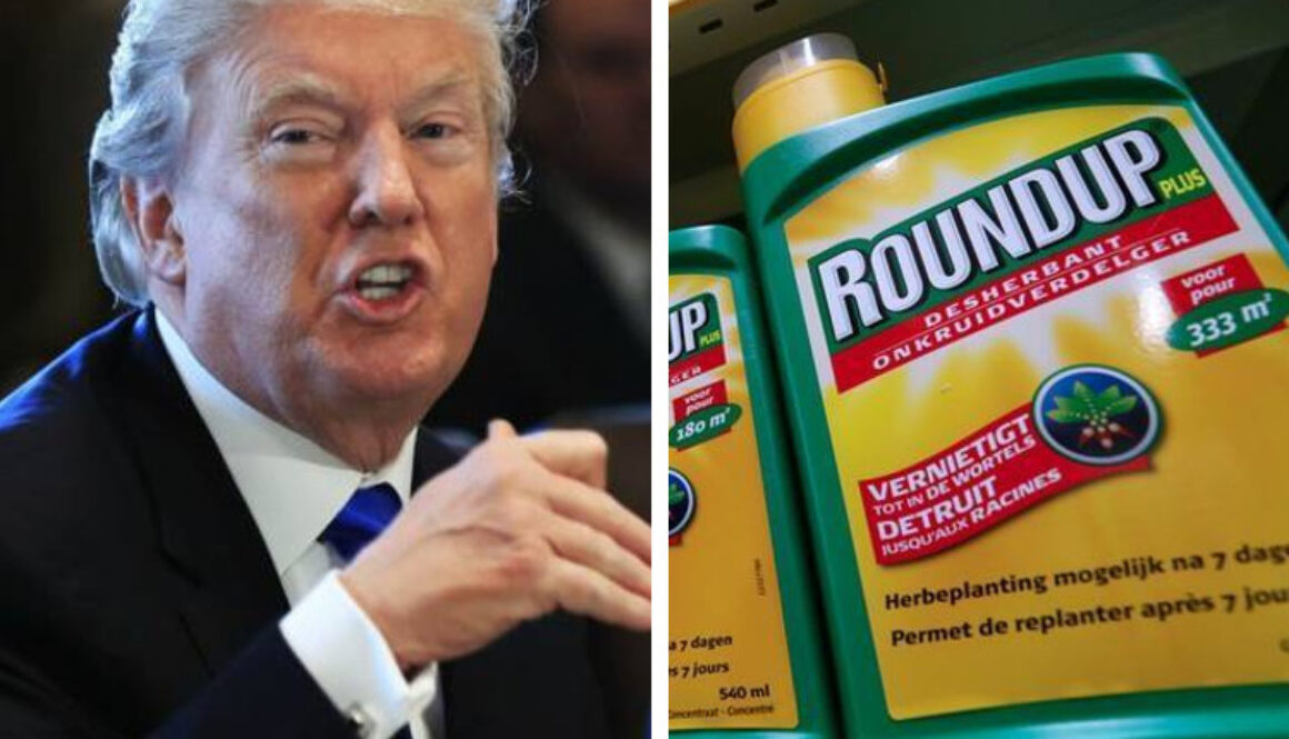 Donald-Trump-Round-Up