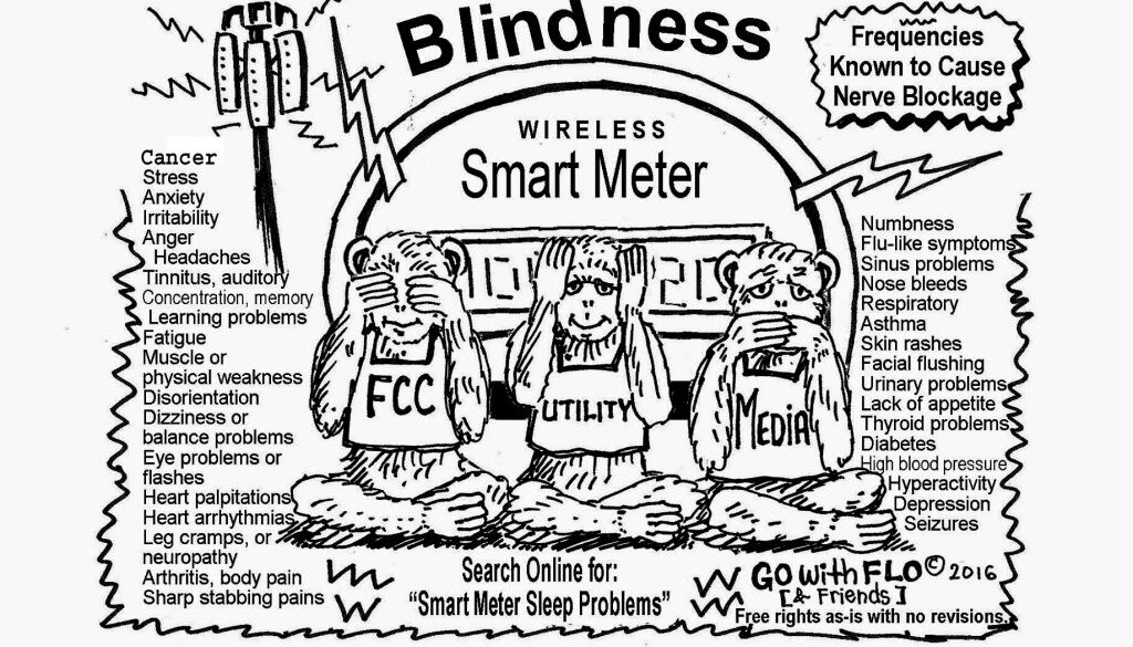 Willful Blindness (Flo Freshman) (2)