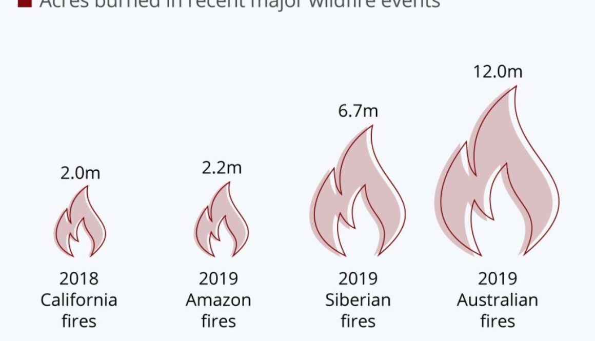 amazon-fires