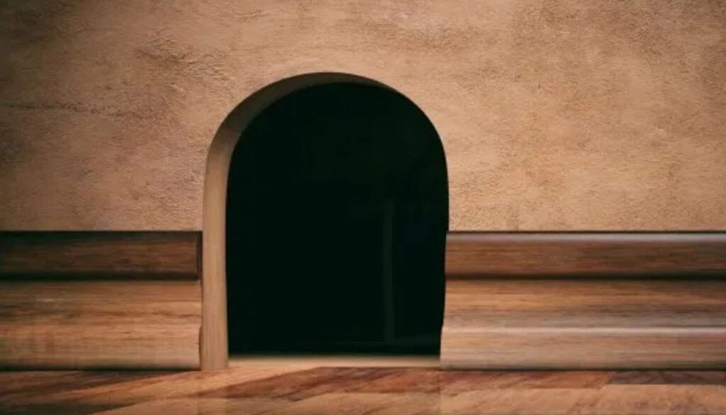 mouse rn