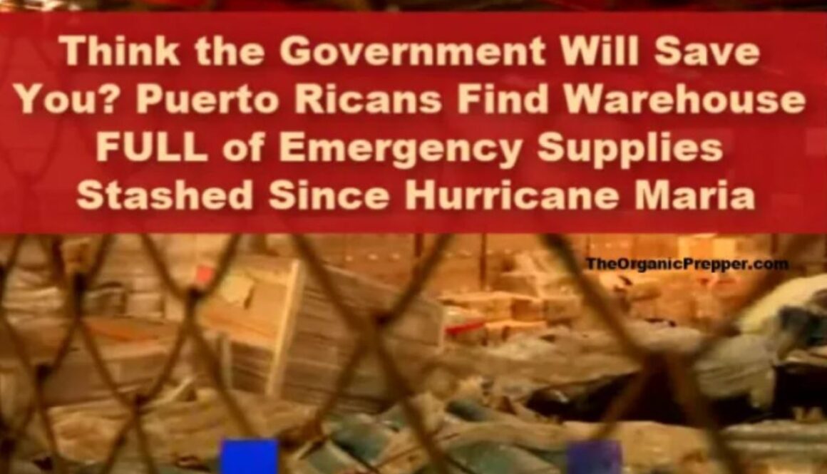 puerto rico OP