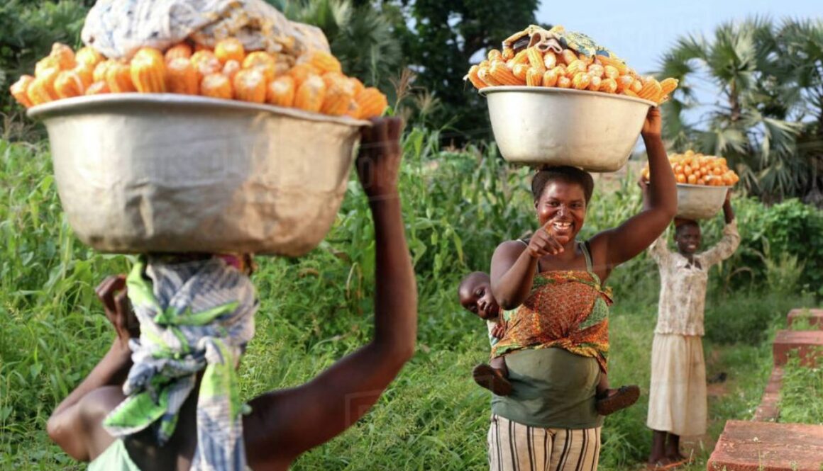 togo glyphosate CE