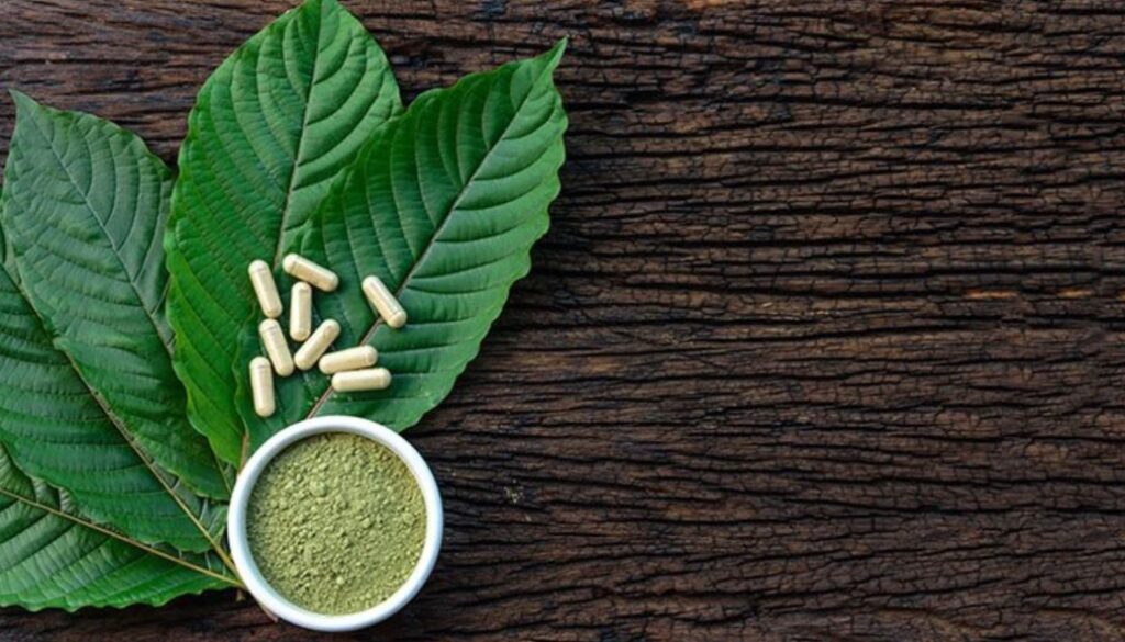 kratom herb