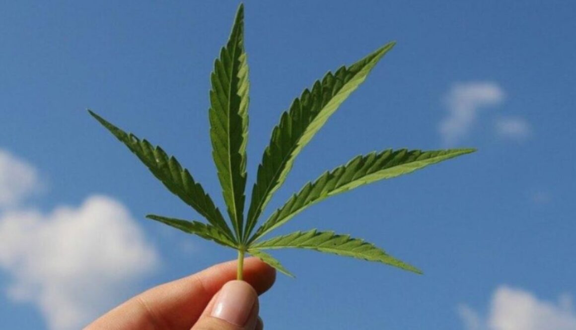 marijuana TMU EM