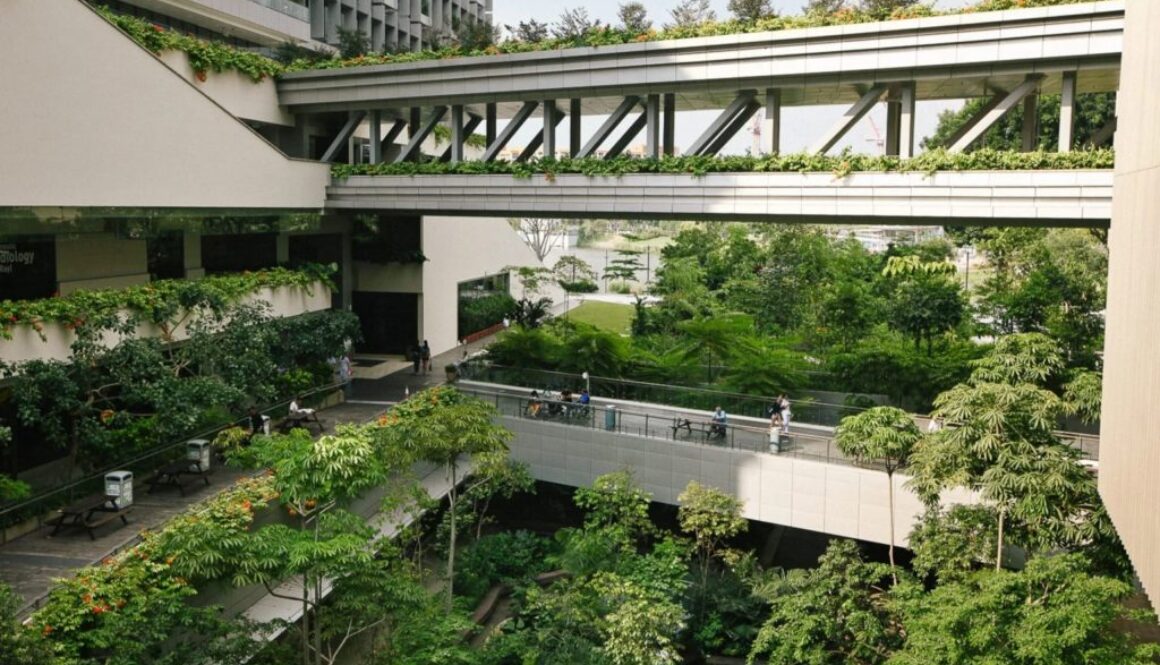 singapore hospital truth theory