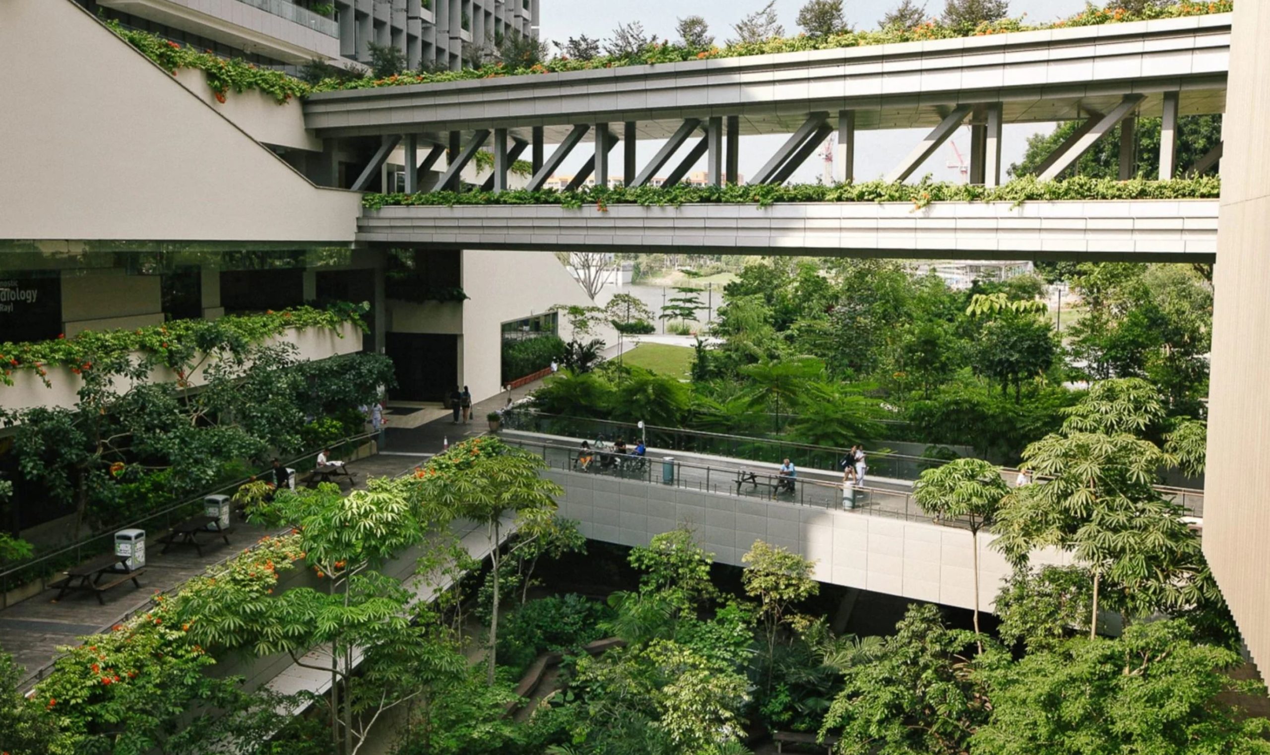 singapore hospital truth theory