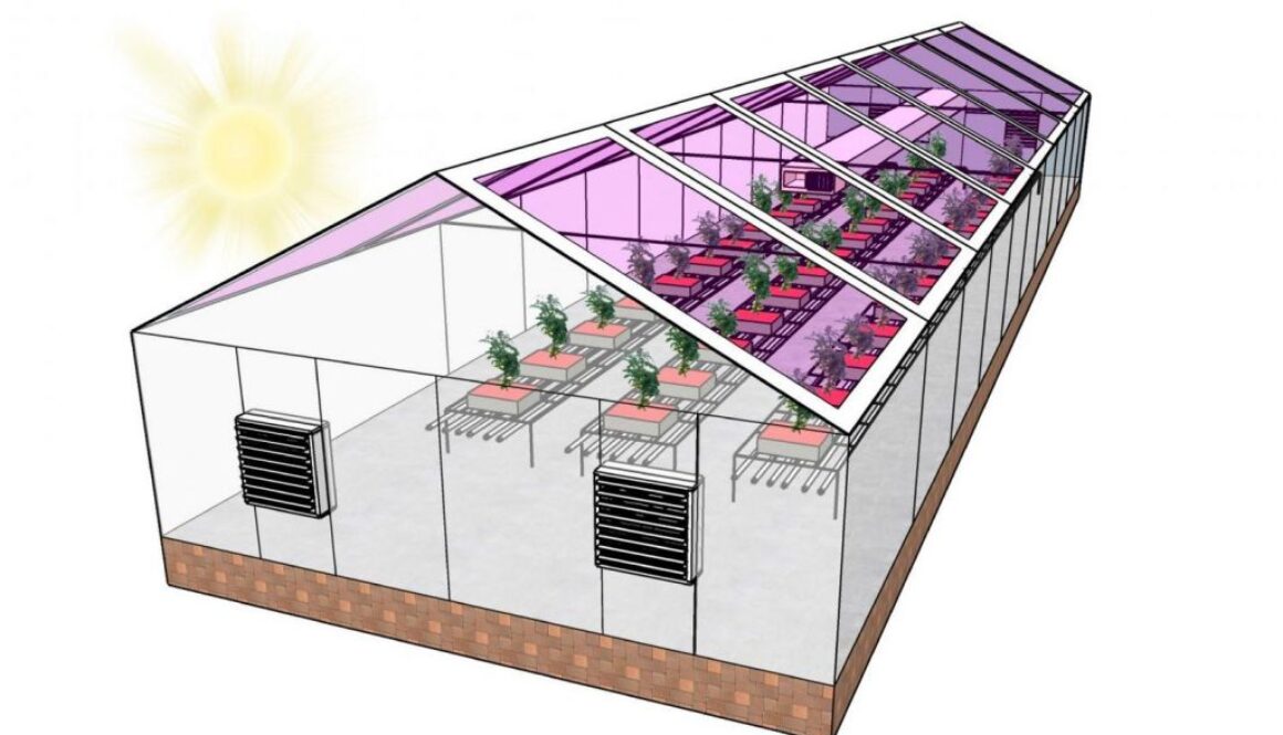 solar greenhouse