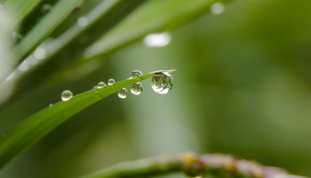 water drop pix